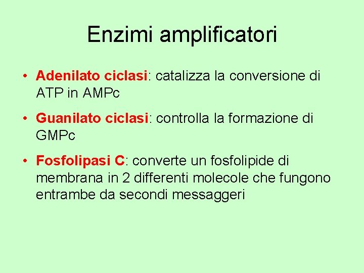 Enzimi amplificatori • Adenilato ciclasi: catalizza la conversione di ATP in AMPc • Guanilato