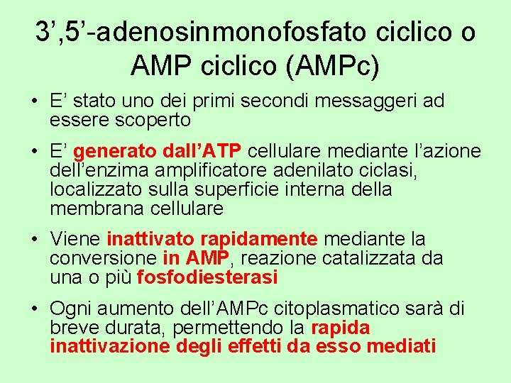 3’, 5’-adenosinmonofosfato ciclico o AMP ciclico (AMPc) • E’ stato uno dei primi secondi