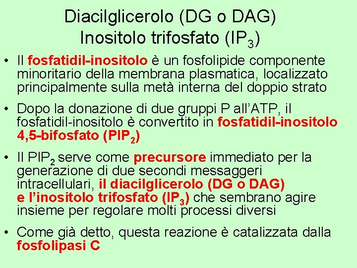 Diacilglicerolo (DG o DAG) Inositolo trifosfato (IP 3) • Il fosfatidil-inositolo è un fosfolipide