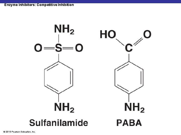 Enzyme Inhibitors: Competitive Inhibition © 2013 Pearson Education, Inc. 