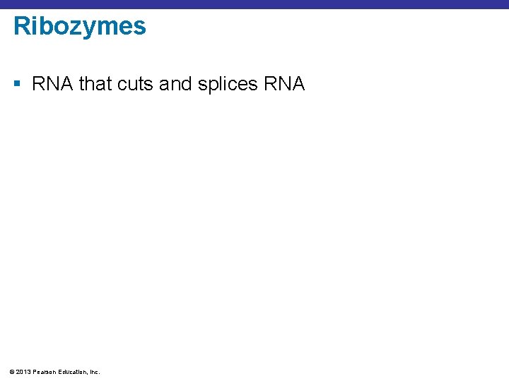 Ribozymes § RNA that cuts and splices RNA © 2013 Pearson Education, Inc. 