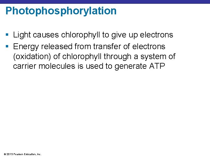 Photophosphorylation § Light causes chlorophyll to give up electrons § Energy released from transfer