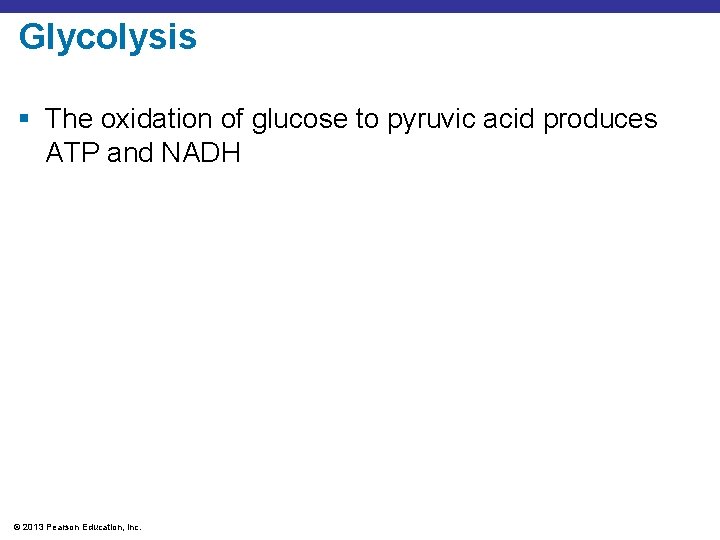 Glycolysis § The oxidation of glucose to pyruvic acid produces ATP and NADH ©