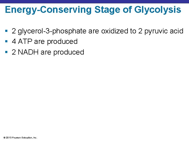 Energy-Conserving Stage of Glycolysis § 2 glycerol-3 -phosphate are oxidized to 2 pyruvic acid