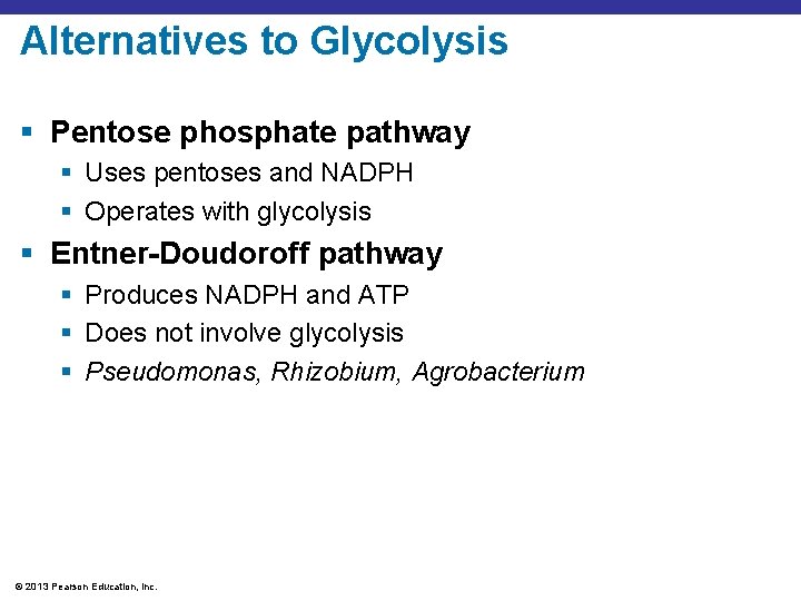 Alternatives to Glycolysis § Pentose phosphate pathway § Uses pentoses and NADPH § Operates