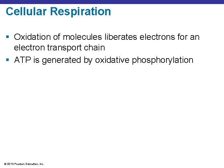 Cellular Respiration § Oxidation of molecules liberates electrons for an electron transport chain §