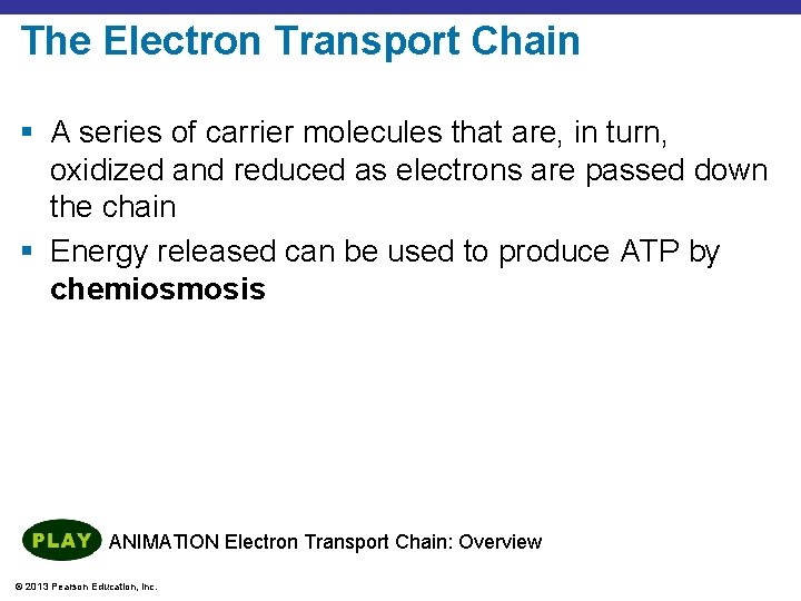 The Electron Transport Chain § A series of carrier molecules that are, in turn,