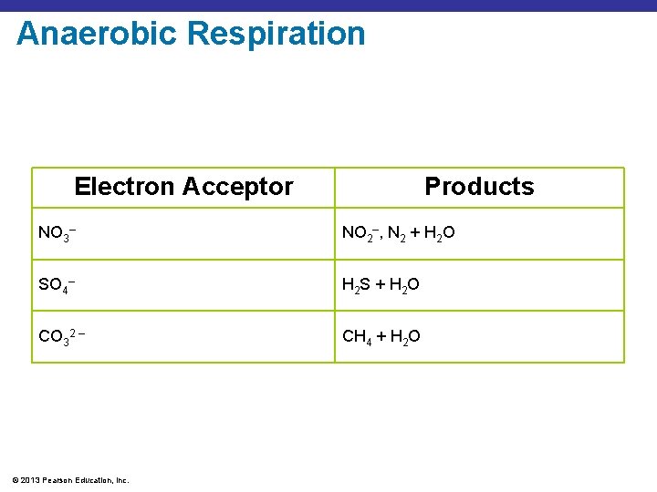 Anaerobic Respiration Electron Acceptor Products NO 3– NO 2–, N 2 + H 2