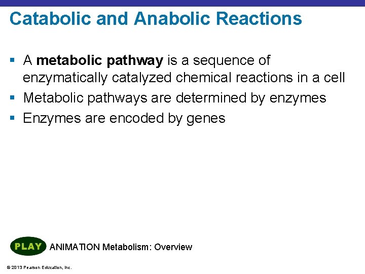 Catabolic and Anabolic Reactions § A metabolic pathway is a sequence of enzymatically catalyzed