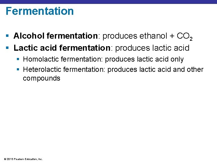 Fermentation § Alcohol fermentation: produces ethanol + CO 2 § Lactic acid fermentation: produces