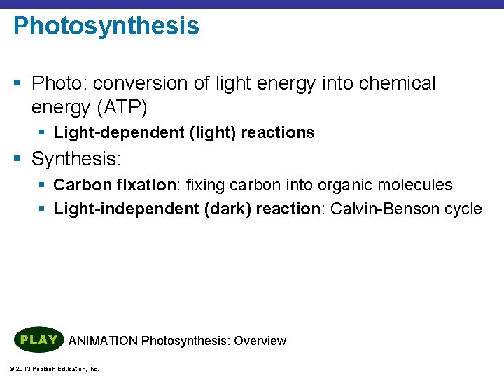 Photosynthesis § Photo: conversion of light energy into chemical energy (ATP) § Light-dependent (light)