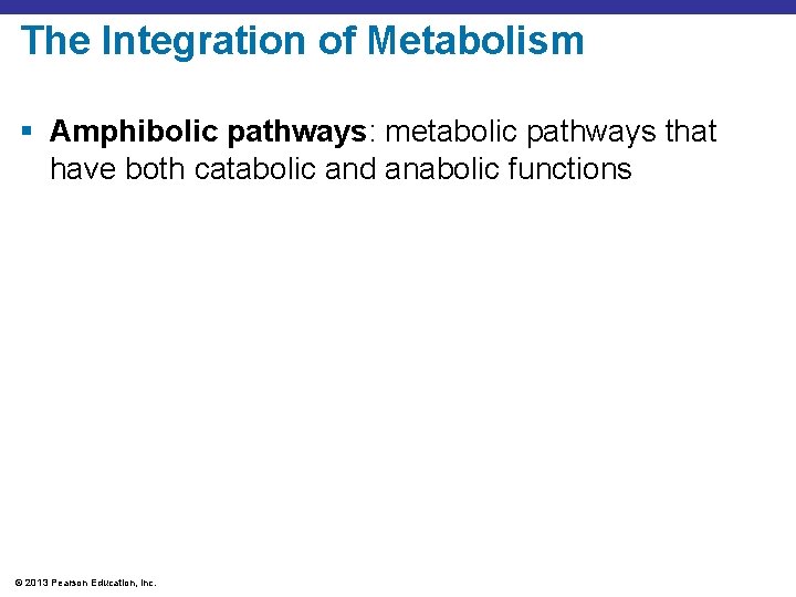 The Integration of Metabolism § Amphibolic pathways: metabolic pathways that have both catabolic and