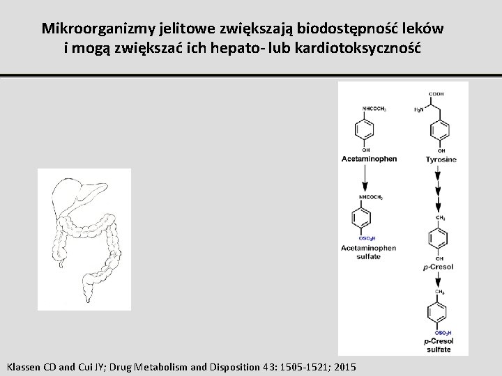 Mikroorganizmy jelitowe zwiększają biodostępność leków i mogą zwiększać ich hepato- lub kardiotoksyczność Klassen CD