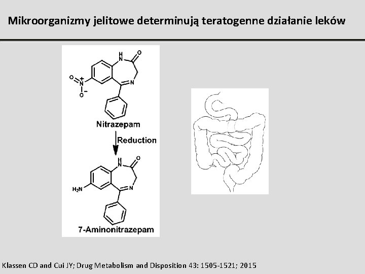 Mikroorganizmy jelitowe determinują teratogenne działanie leków Klassen CD and Cui JY; Drug Metabolism and