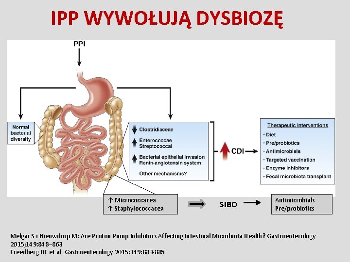 IPP WYWOŁUJĄ DYSBIOZĘ ↑ Micrococcacea ↑ Staphylococcacea SIBO Antimicrobials Pre/probiotics Melgar S i Nieuwdorp