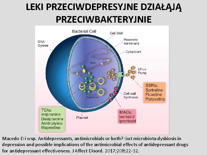 LEKI PRZECIWDEPRESYJNE DZIAŁĄJĄ PRZECIWBAKTERYJNIE Macedo D i wsp. Antidepressants, antimicrobials or both? Gut microbiota