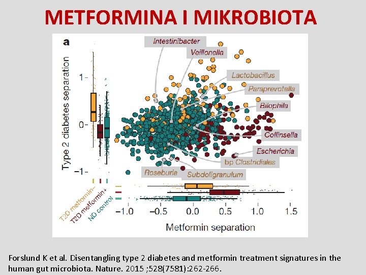 METFORMINA I MIKROBIOTA Forslund K et al. Disentangling type 2 diabetes and metformin treatment