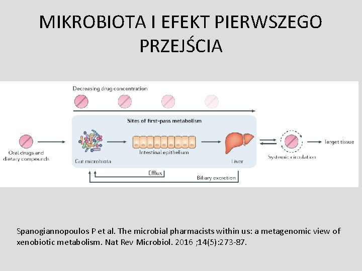 MIKROBIOTA I EFEKT PIERWSZEGO PRZEJŚCIA Spanogiannopoulos P et al. The microbial pharmacists within us: