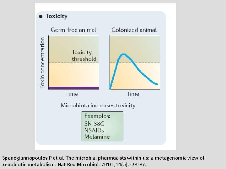 Spanogiannopoulos P et al. The microbial pharmacists within us: a metagenomic view of xenobiotic