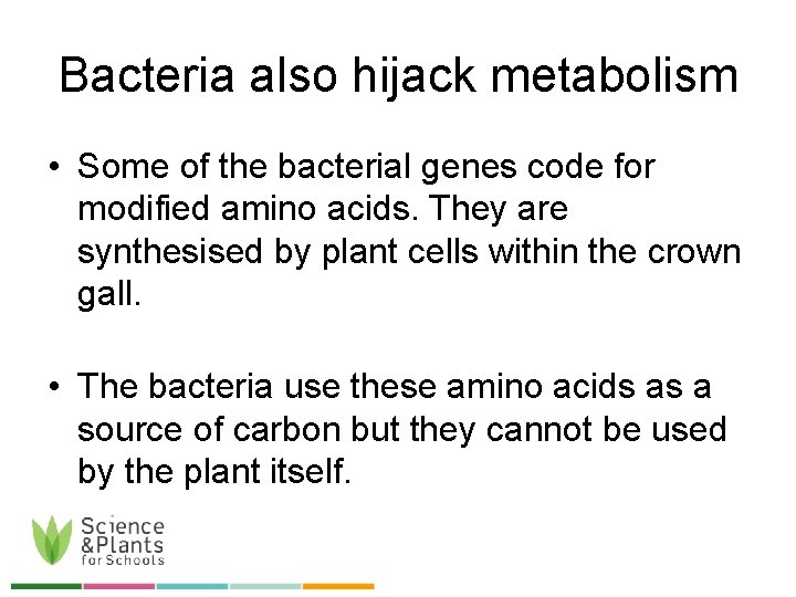 Bacteria also hijack metabolism • Some of the bacterial genes code for modified amino