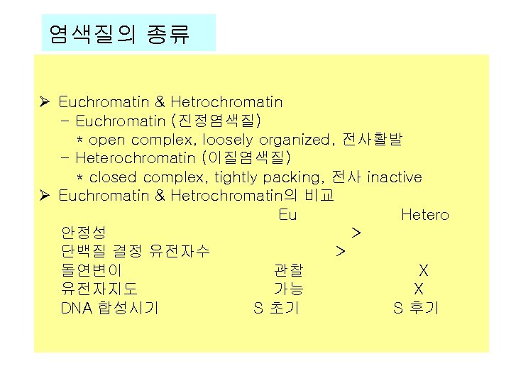 염색질의 종류 Ø Euchromatin & Hetrochromatin - Euchromatin (진정염색질) * open complex, loosely organized,