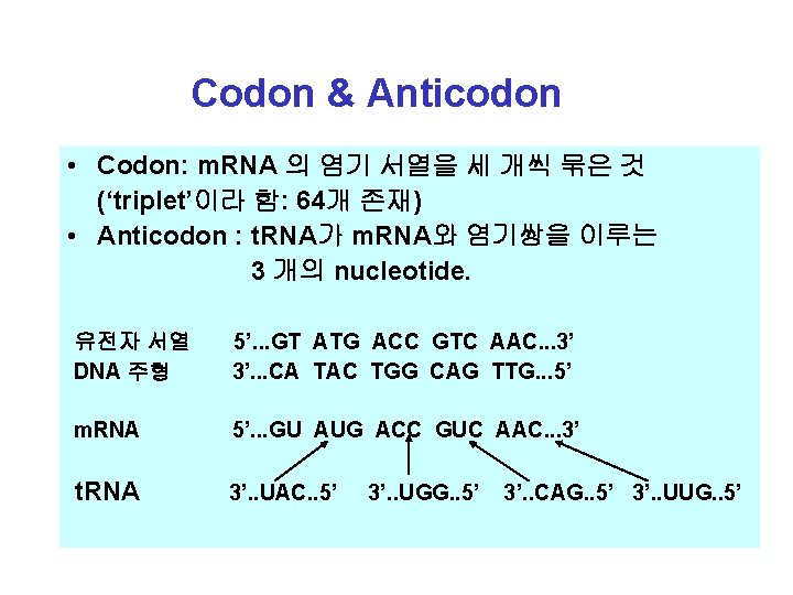 Codon & Anticodon • Codon: m. RNA 의 염기 서열을 세 개씩 묶은 것