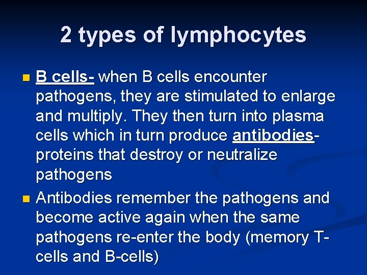 2 types of lymphocytes B cells- when B cells encounter pathogens, they are stimulated