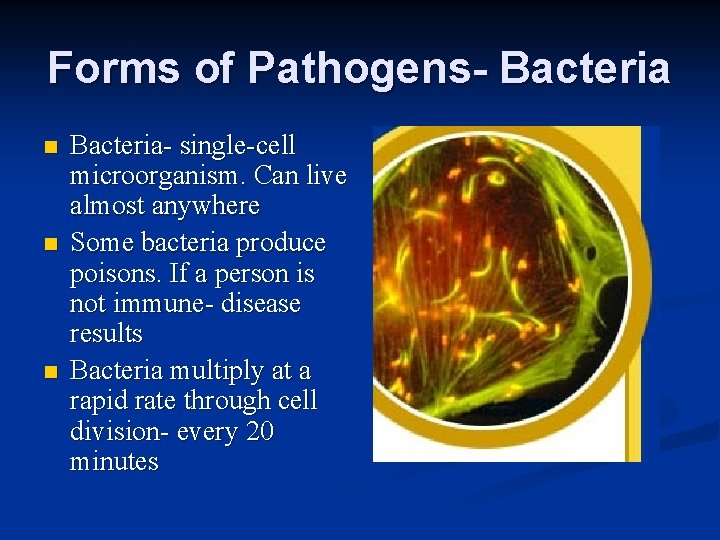 Forms of Pathogens- Bacteria n n n Bacteria- single-cell microorganism. Can live almost anywhere