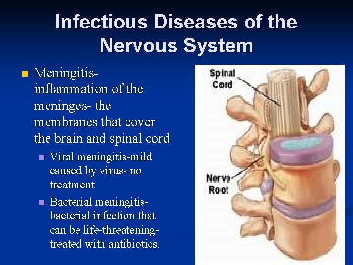 Infectious Diseases of the Nervous System n Meningitisinflammation of the meninges- the membranes that