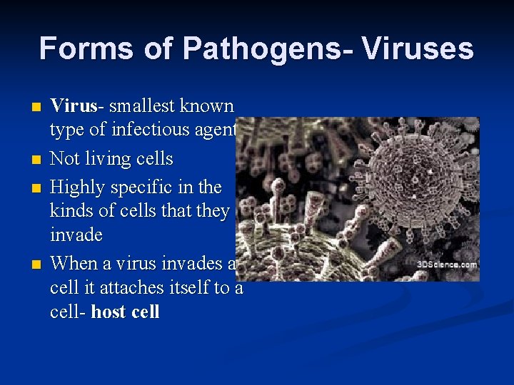 Forms of Pathogens- Viruses n n Virus- smallest known type of infectious agent Not