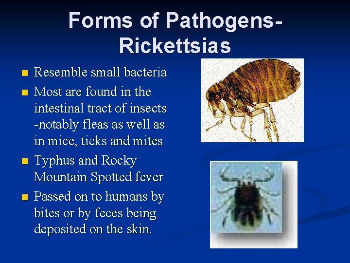 Forms of Pathogens. Rickettsias n n Resemble small bacteria Most are found in the