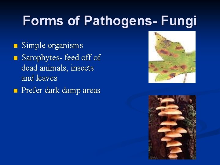 Forms of Pathogens- Fungi n n n Simple organisms Sarophytes- feed off of dead