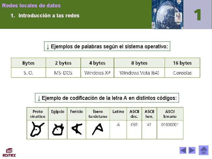 Redes locales de datos 1. Introducción a las redes ↓ Ejemplos de palabras según