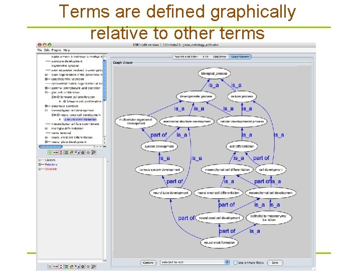 Terms are defined graphically relative to other terms 