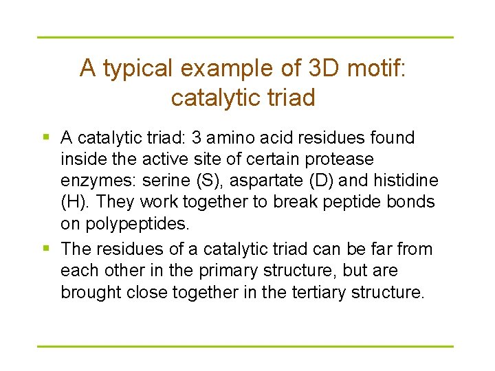 A typical example of 3 D motif: catalytic triad § A catalytic triad: 3