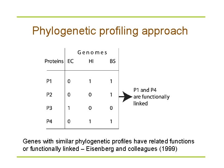 Phylogenetic profiling approach Genes with similar phylogenetic profiles have related functions or functionally linked