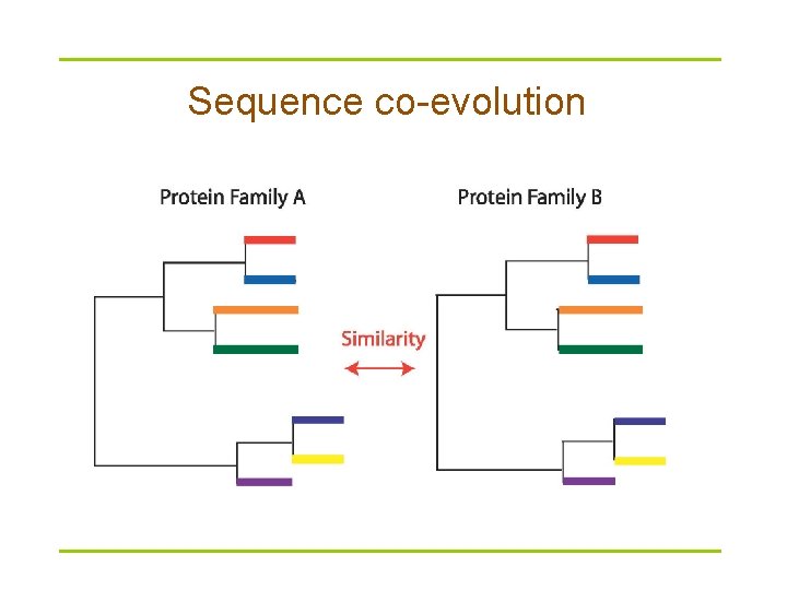 Sequence co-evolution 