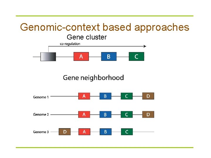 Genomic-context based approaches Gene cluster 