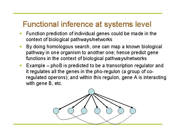 Functional inference at systems level § Function prediction of individual genes could be made