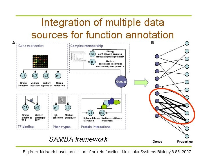 Integration of multiple data sources for function annotation SAMBA framework Fig from: Network-based prediction