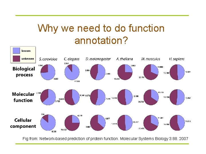 Why we need to do function annotation? Fig from: Network-based prediction of protein function.