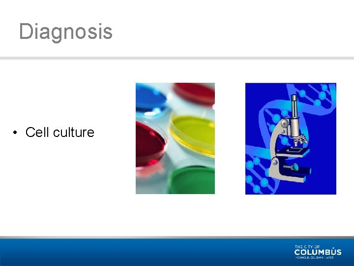 Diagnosis • Cell culture 