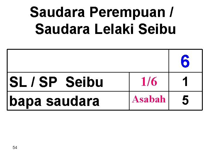 Saudara Perempuan / Saudara Lelaki Seibu 6 SL / SP Seibu bapa saudara 54