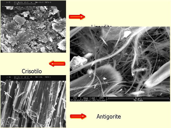 Lizardite Crisotilo Antigorite 