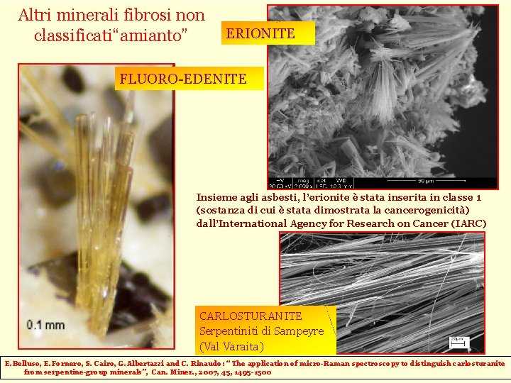 Altri minerali fibrosi non classificati“amianto” ERIONITE FLUORO-EDENITE Insieme agli asbesti, l’erionite è stata inserita