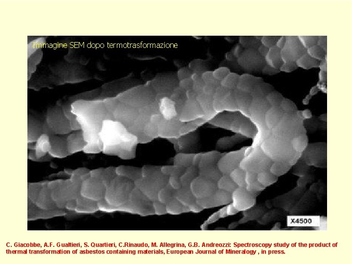 Immagine SEM dopo termotrasformazione C. Giacobbe, A. F. Gualtieri, S. Quartieri, C. Rinaudo, M.