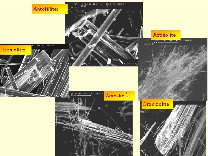 Antofillite: Actinolite Tremolite: Amosite: Crocidolite 