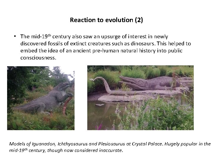 Reaction to evolution (2) • The mid-19 th century also saw an upsurge of