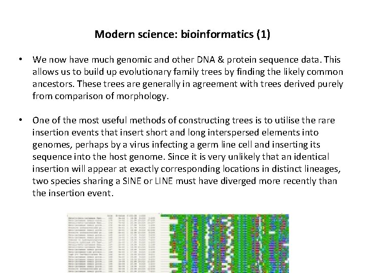 Modern science: bioinformatics (1) • We now have much genomic and other DNA &