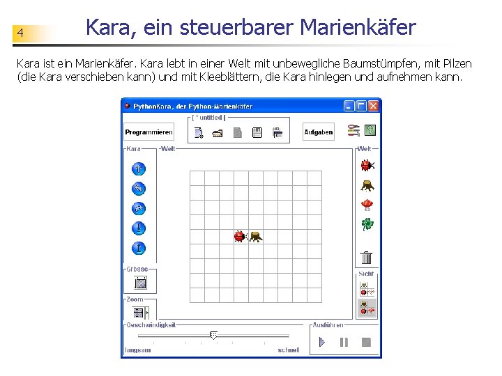 4 Kara, ein steuerbarer Marienkäfer Kara ist ein Marienkäfer. Kara lebt in einer Welt